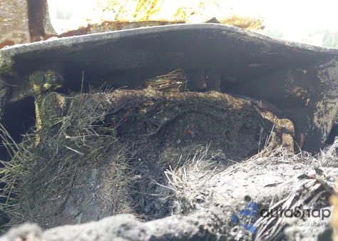 2011 Chevrolet Express G2500 from USA, damaged, VIN 1GCWGFCG7B1187168